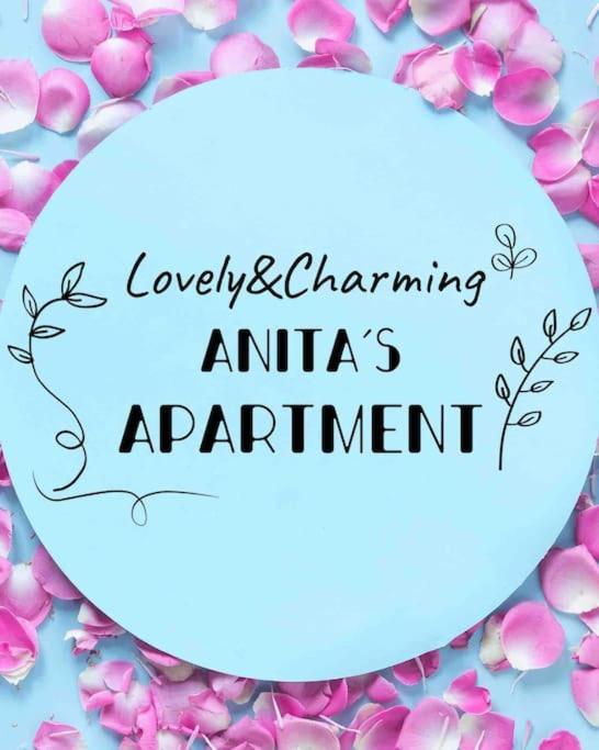 Lovely&Charming Anita'S Apartment Ponta Delgada Buitenkant foto